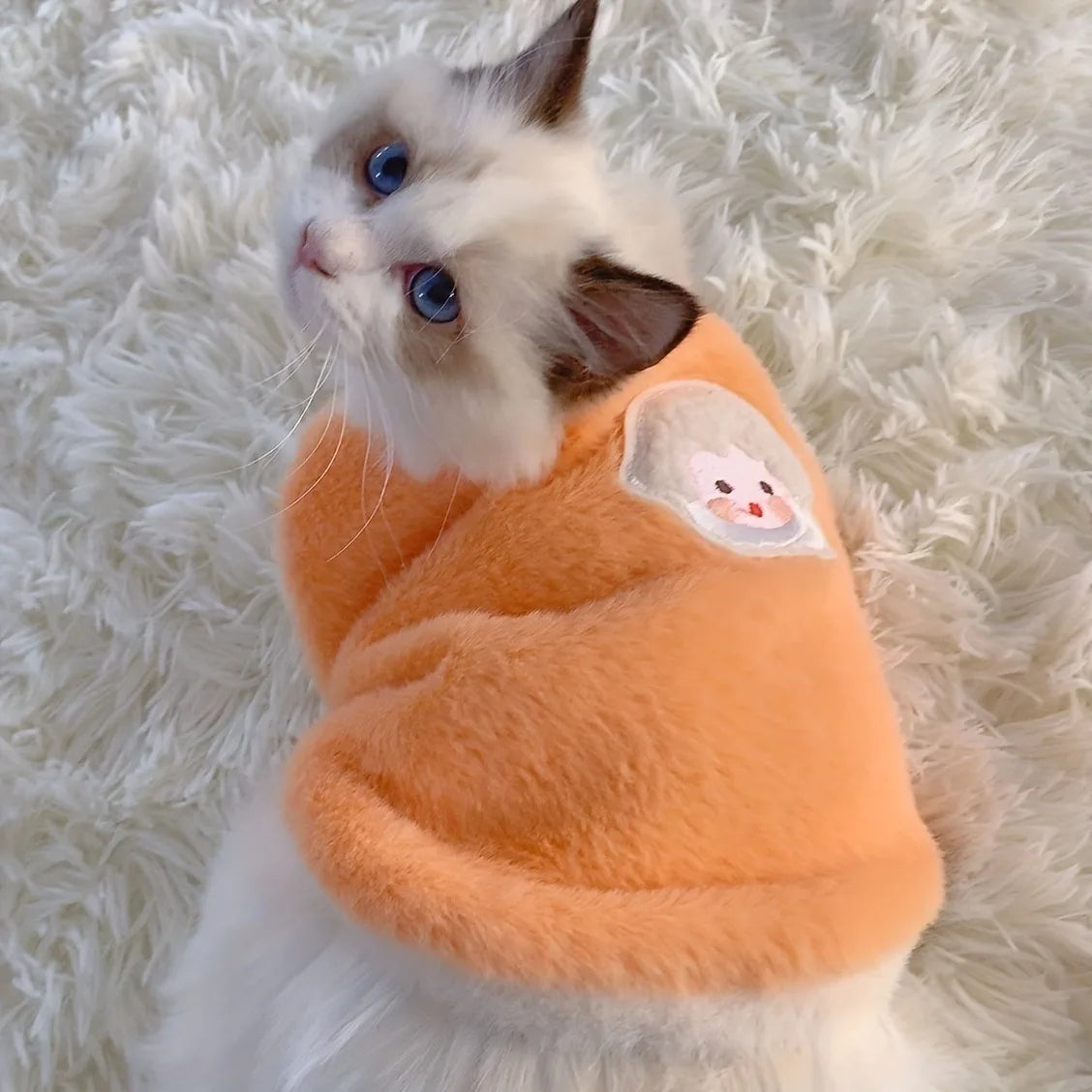 Pull / Gilet pour chat – Vêtement chaud et confortable pour chatons et petits chats, idéal pour l'hiver