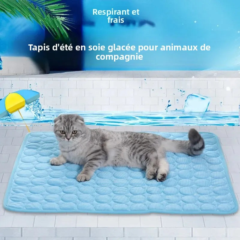 Tapis Rafraîchissant pour Chien et Chat – Coussin Fraîcheur en Soie Glacée