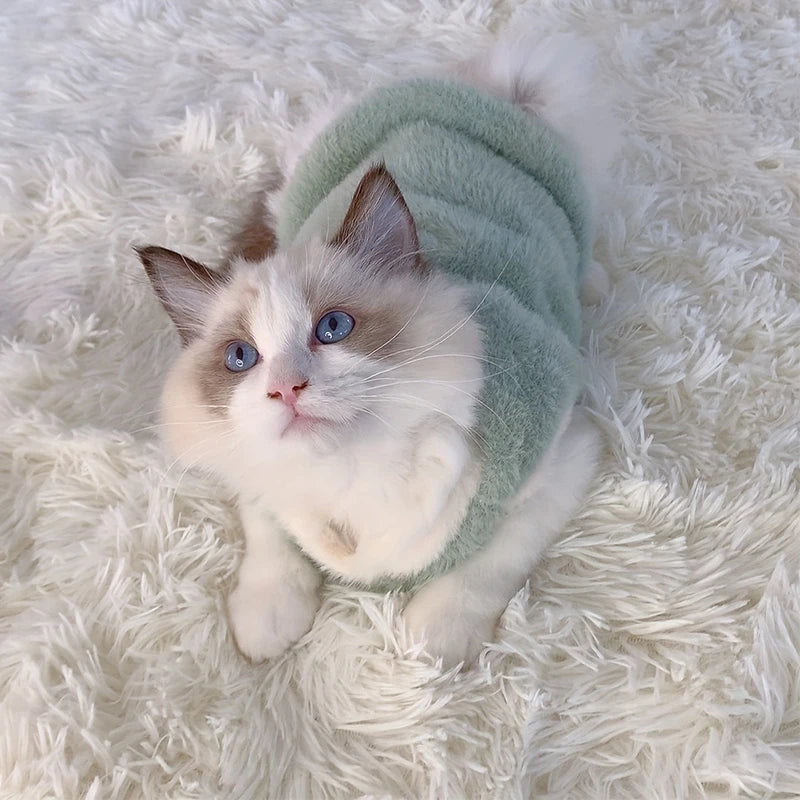 Pull / Gilet pour chat – Vêtement chaud et confortable pour chatons et petits chats, idéal pour l'hiver