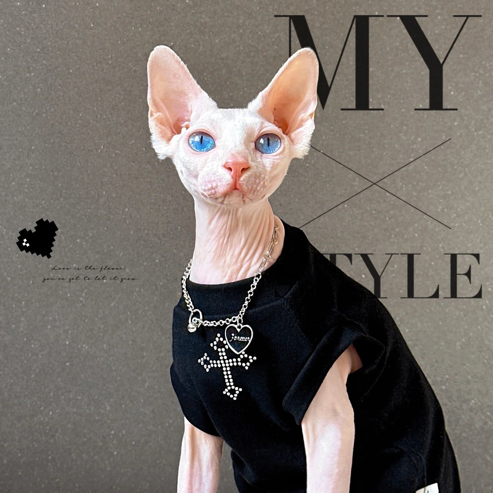 Gilet noir pour chat Devon Rex et Sphynx – Vêtement d'été orné de strass scintillants pour chats sans poils