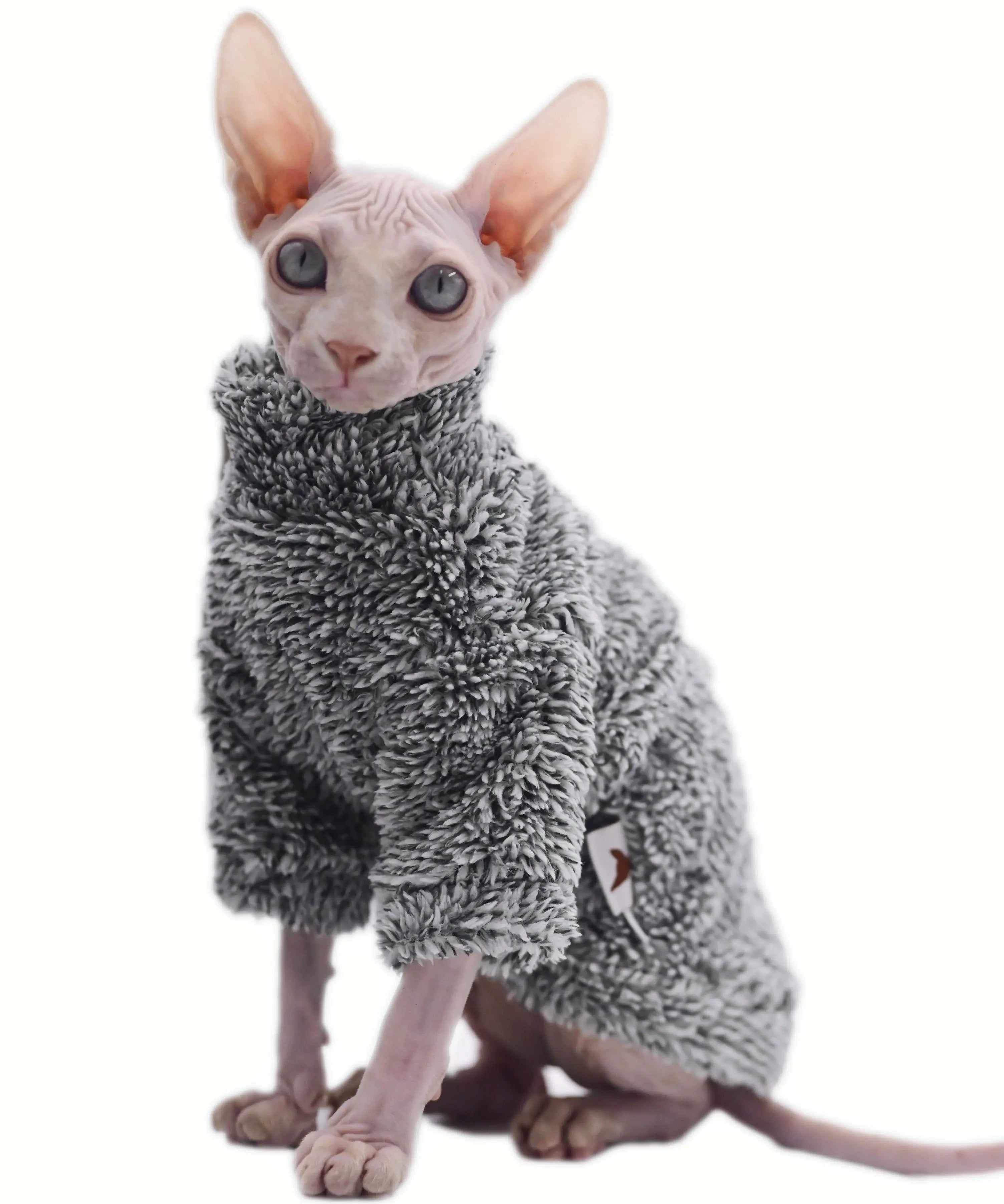 Manteau d'hiver camouflage pour chat Sphynx – Vêtement chaud en velours arctique pour Sphynx, Devon Rex et Cornish Rex