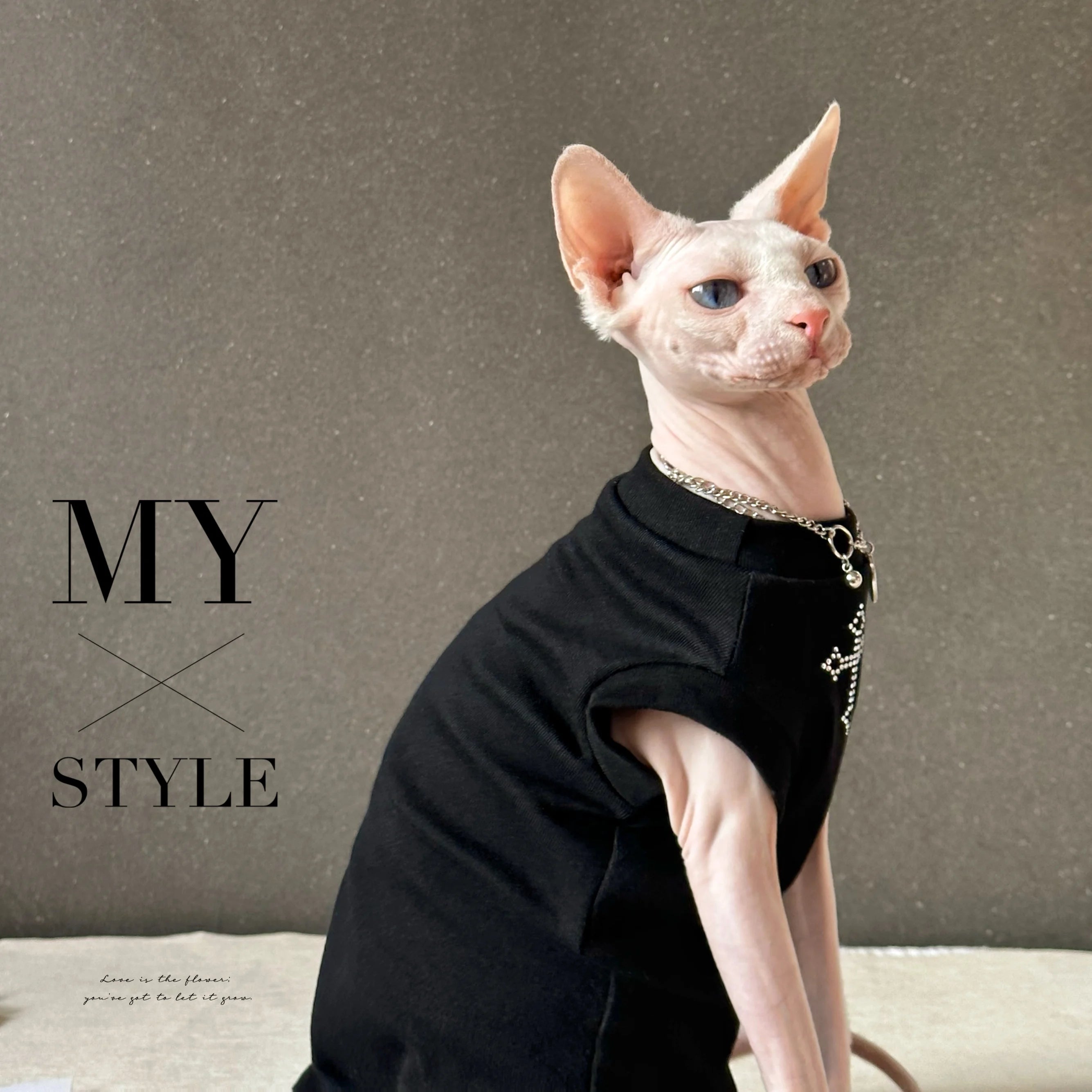 Gilet noir pour chat Devon Rex et Sphynx – Vêtement d'été orné de strass scintillants pour chats sans poils