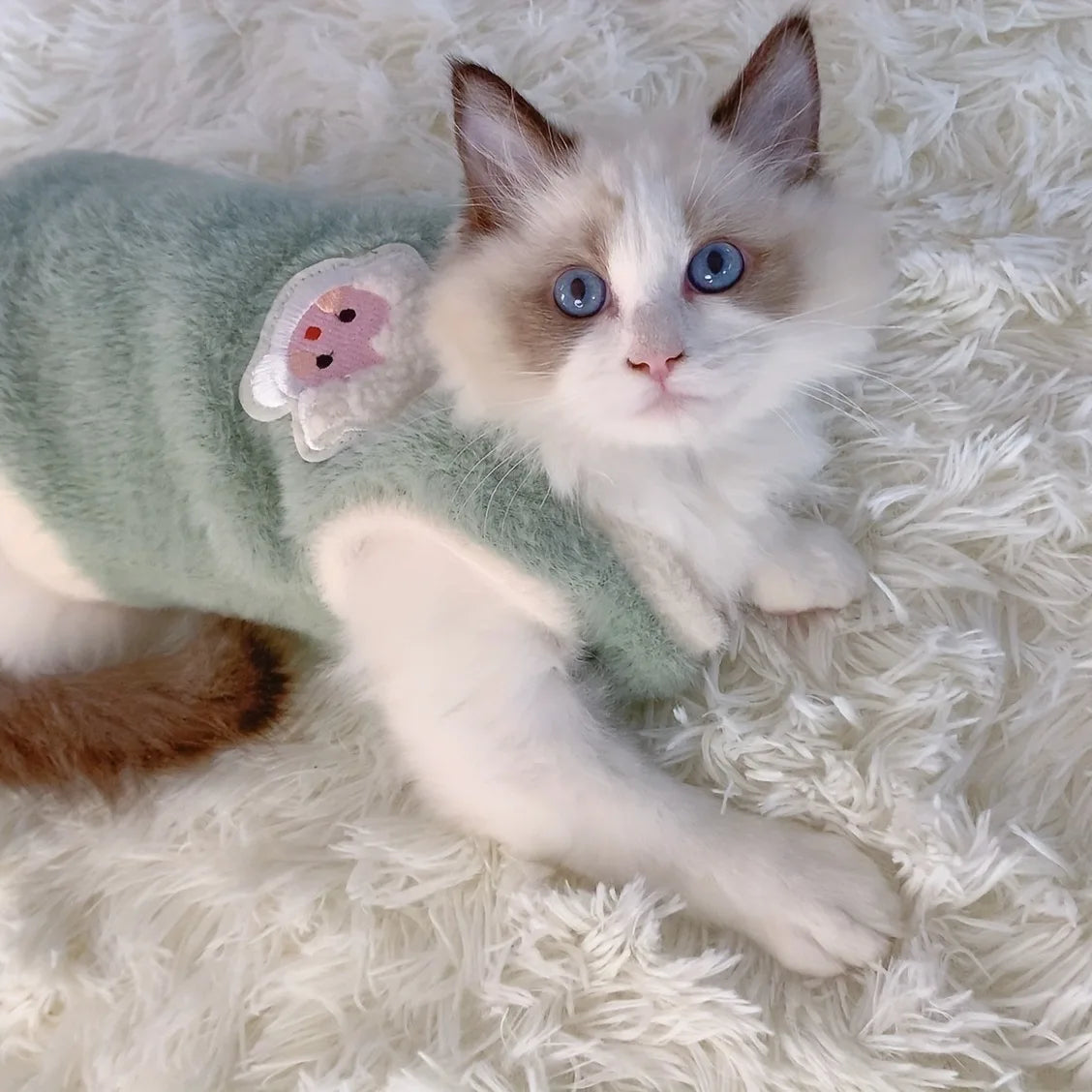 Pull / Gilet pour chat – Vêtement chaud et confortable pour chatons et petits chats, idéal pour l'hiver