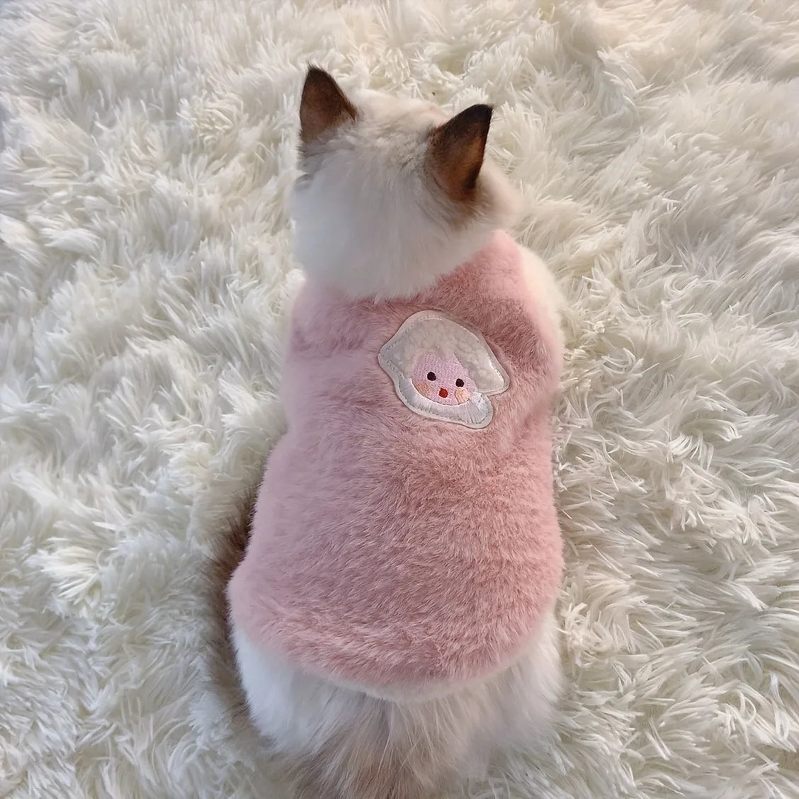 Pull / Gilet pour chat – Vêtement chaud et confortable pour chatons et petits chats, idéal pour l'hiver